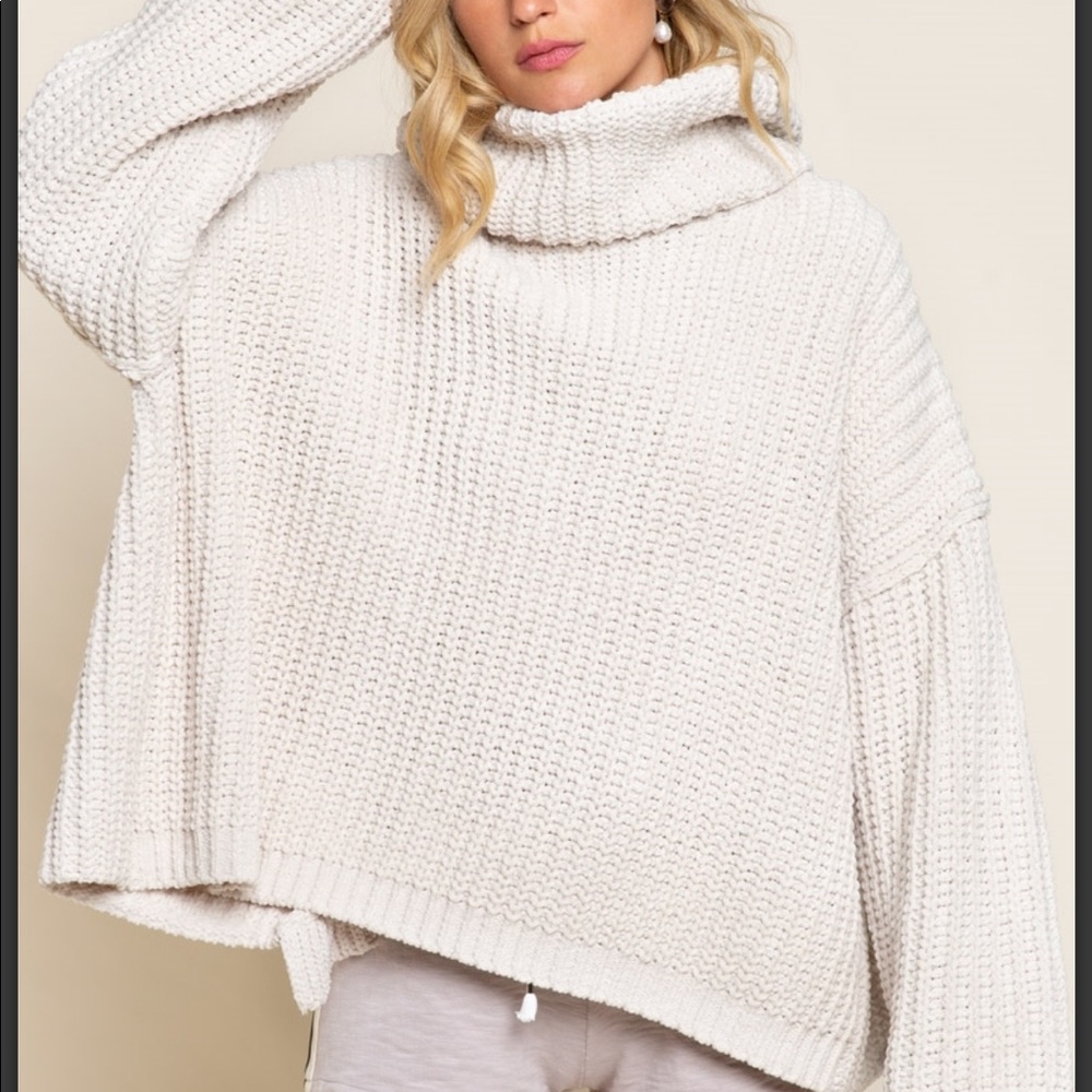 Chunky Turtleneck with Ruffle Back